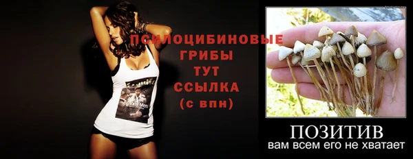 ECSTASY Алексин