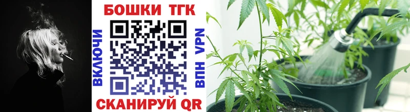 Конопля гибрид  Лянтор 